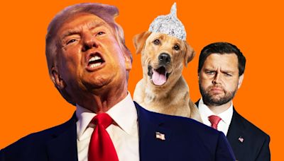 Chaos Dogs City Where Trump Says Haitians Eat Pets