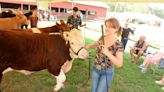 Going to the Brooklyn Fair? What to know, from lawn mower racing to the skillet toss