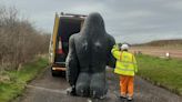 Gary the Gorilla statue 'sawn in half' after theft from Scottish garden centre