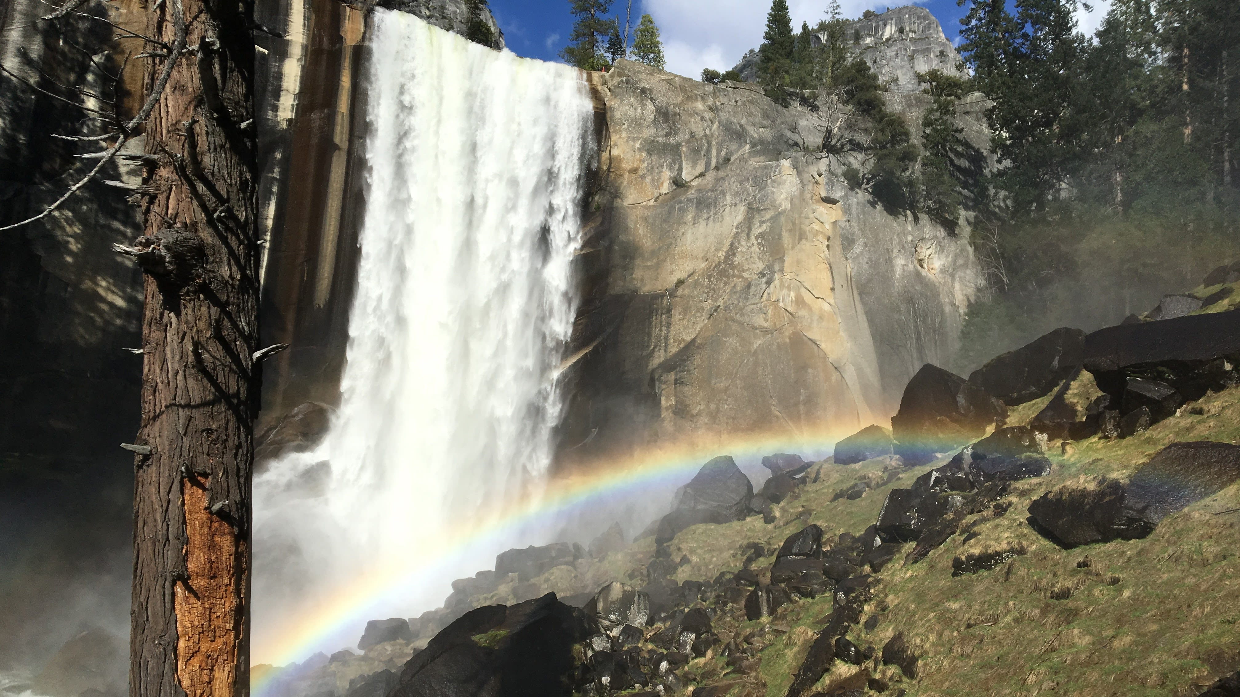 Stomach-churning clip shows hapless tourists casually perched over Yosemite waterfall where dozens have drowned