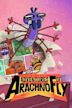 Adventures of ArachnoFly