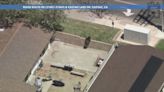 Bear sprints through Castaic neighborhood (video)