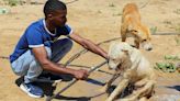 Intense heat in Gaza could worsen health crisis for Palestinians, WHO warns