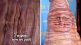 The Videos Of Heidi Klum As A Giant Worm Have Me Completely Losing It Because They Are So Bonkers, It's Amazing