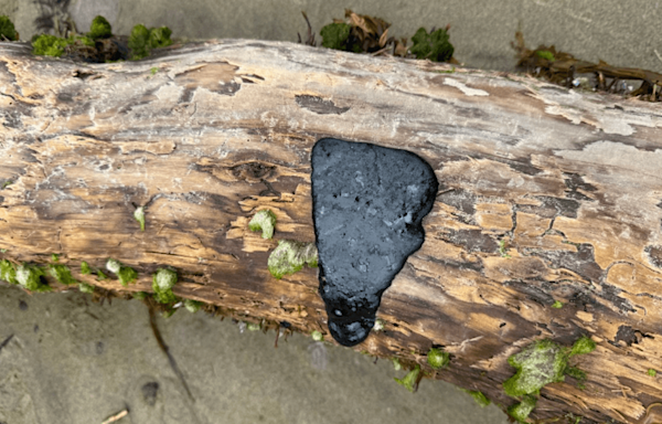 Oregon Officials Warn People Not To Touch Mystery Tar-Like Substance On West Coast Beaches