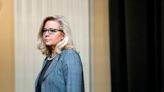 Liz Cheney shakes up 2024 forecast