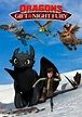 Dragons: Gift of the Night Fury (2011)