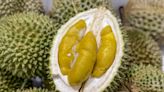 Eyeing China market, Royal Pahang Durian unveils plan for Raub farmers via legalisation scheme