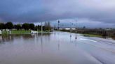 Bay Area rainfall totals: 7.5 inches drench Mt. Tamalpais