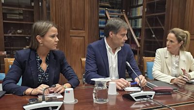 El PP espera esclarecer "de una vez" en la comisión de investigación el "pelotazo" de las mascarillas en Canarias