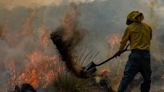 Conafor reporta 116 incendios forestales en México; cuáles son los estados más afectados