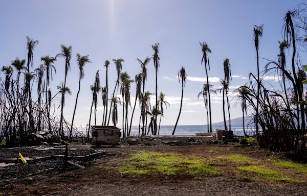 Oprah Winfrey and Dwayne Johnson pledged $10M for Maui wildfire survivors. They gave much more.