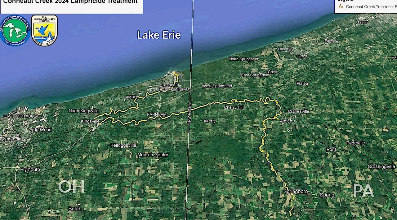 Sea lamprey battle goes on in Conneaut Creek: NE Ohio fishing report