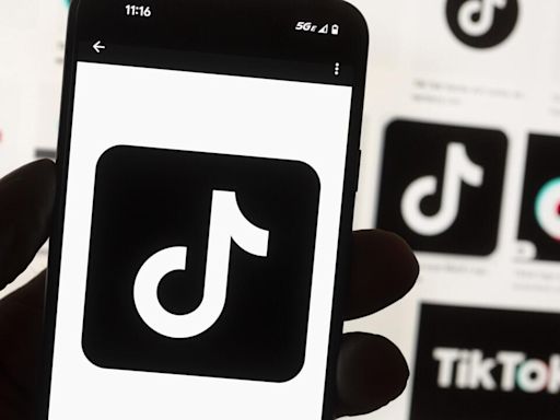 Economía - TikTok demanda a EE. UU. por la ley que busca prohibir su actividad en el país