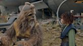 Star Wars: Why Wookiee Jedi Are So Rare - Looper