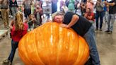 Yes, the heaviest pumpkin at the NC State Fair was grown in West Virginia. Here’s why.