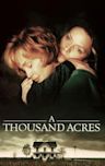 A Thousand Acres (film)