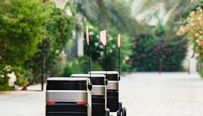 Robots to deliver items in Dubai township in pilot trial