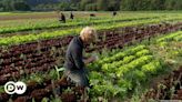 Germany: Why are young people shunning farming? – DW – 07/18/2024