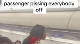 A Spirit Airlines passenger went viral on TikTok for being 'visibly intoxicated' and 'acting aggressively to staff'