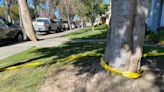 In Port Hueneme, pregnant wife died by homicide; husband's death undetermined yet
