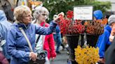 Sorticulture garden bonanza blooms this week in downtown Everett | HeraldNet.com