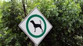 Asheville Dog Killed in Unprovoked Attack