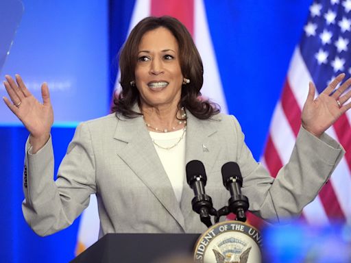 Videos of Kamala Harris' campaign go viral in Donald Trump's backyard