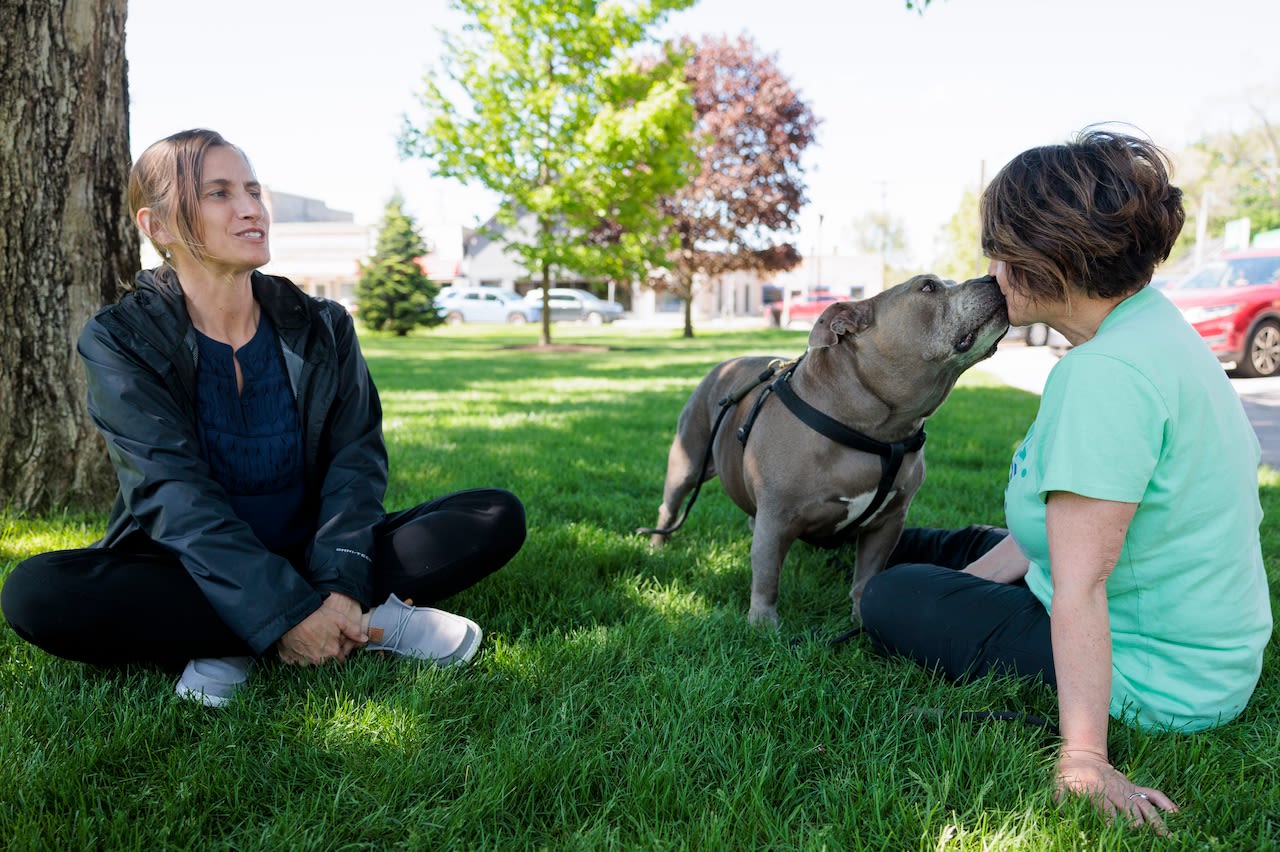 ‘The angels answer’: Vet service helps Michigan pets in their final days