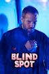 Blind Spot (2012 film)