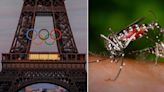 Preocupación en Francia por el crecimiento del dengue de cara a los Juegos Olímpicos