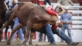 Steer, two horses euthanized at Calgary Stampede rodeo competition