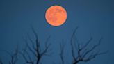 All About June's Strawberry Moon and What It Means for Your Zodiac Sign