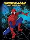 Spider-Man : Les Nouvelles Aventures