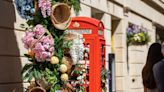 Bath blossoms with blooming marvellous display