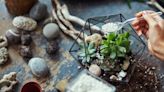 These are the best terrarium workshops across the UK