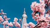 Japan cherry blossom 2023: When and where to see sakura