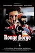 Rouge-gorge