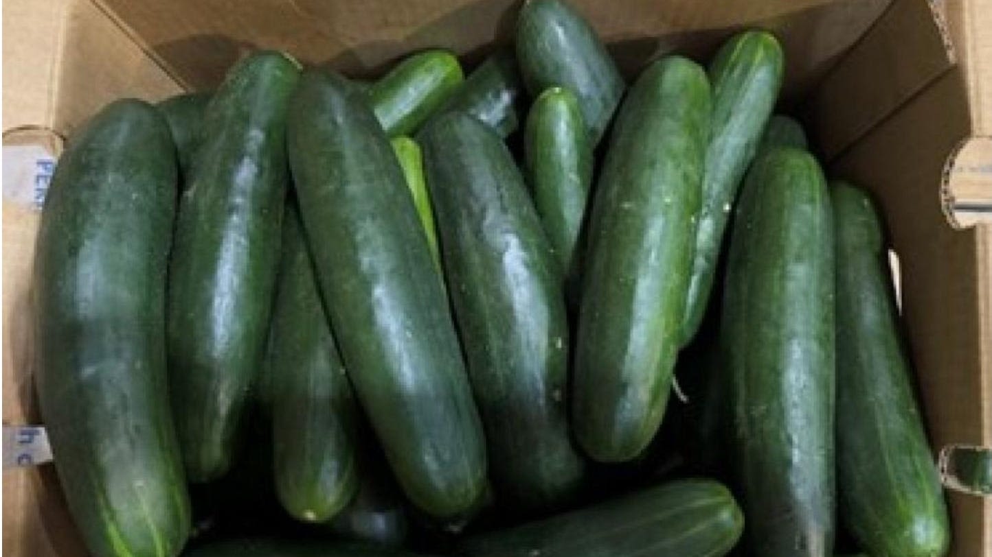 Salmonella linked to recalled cucumbers could be two separate strains; FDA, CDC investigate