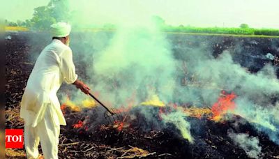 Explain what steps you have taken on stubble burning: Supreme Court to CAQM | Delhi News - Times of India