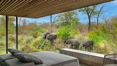 I've Been a Travel Writer for Years and This South African Safari Lodge Is the Nicest Place I've Ever Stayed