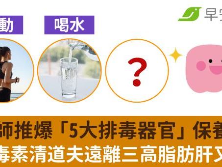 營養師推爆「5大排毒器官」保養術！自帶毒素清道夫遠離三高脂肪肝又防癌