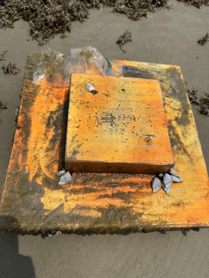 Look: Mysterious orange blocks on Texas beaches are sea turtle 'effigies'