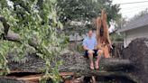 Tree falls on Houston meteorologist's home for 2nd time