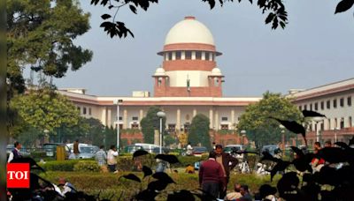 Supreme Court justice criticizes HC judges for lack of discipline and efficiency | India News - Times of India