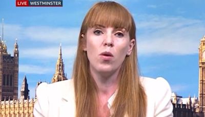 Angela Rayner leaves BBC Breakfast viewers 'switching off' as they rage 'enough'