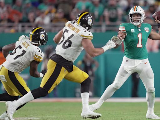 Dolphins Writer Slams Steelers