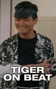 Tiger on Beat