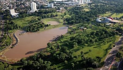 Dia da Árvore em Campo Grande tem entrega gratuita de mudas frutíferas em drive thru