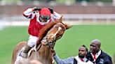 Rich Strike: el "humilde" caballo que derrotó a los corceles más reputados en el Derby de Kentucky